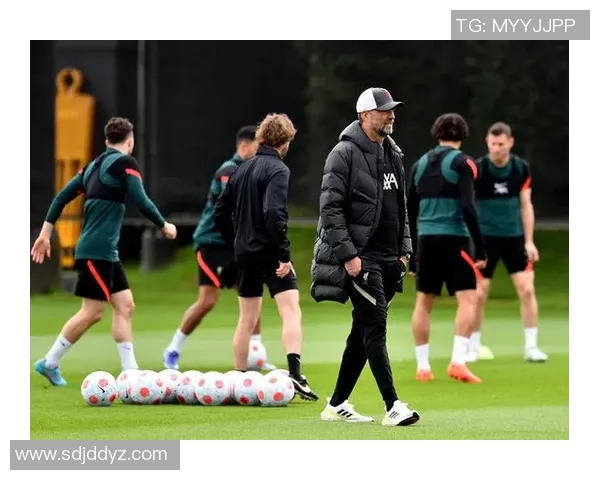 澳维超布林狮子迎战墨尔本骑士力争主场胜利展现实力