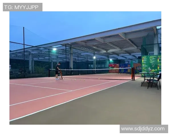 深度分析深圳网球队盯防战术的优势与应用策略